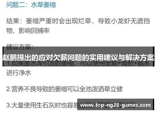 赵鹏提出的应对欠薪问题的实用建议与解决方案